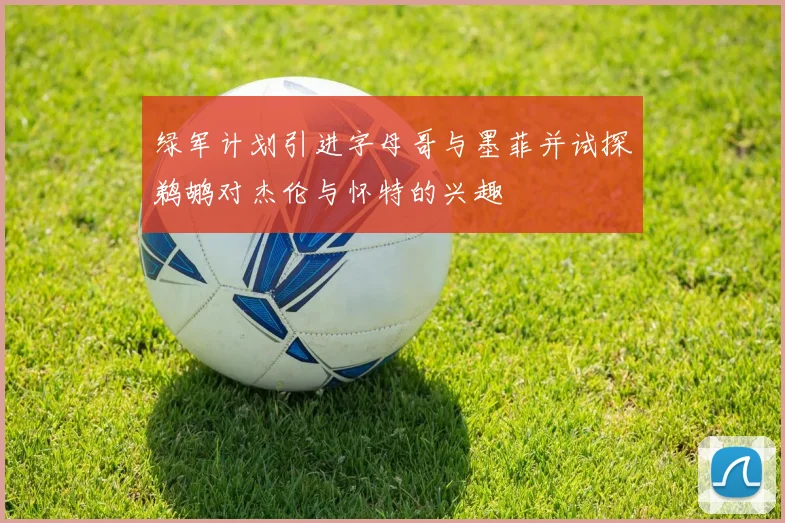 绿军计划引进字母哥与墨菲并试探鹈鹕对杰伦与怀特的兴趣