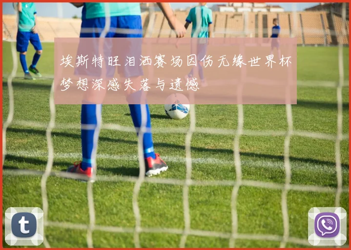 埃斯特旺泪洒赛场因伤无缘世界杯梦想深感失落与遗憾