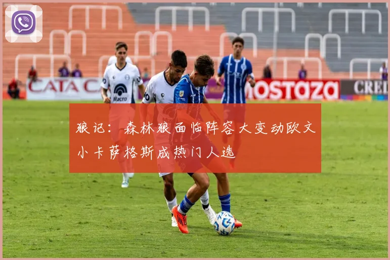 狼记：森林狼面临阵容大变动欧文小卡萨格斯成热门人选